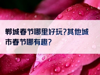 郸城春节哪里好玩？其他城市春节哪有趣？