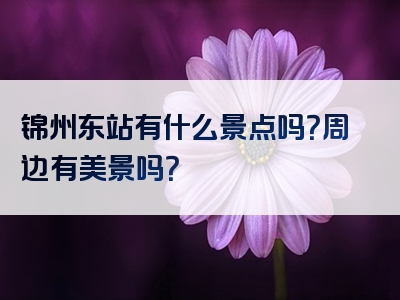 锦州东站有什么景点吗？周边有美景吗？