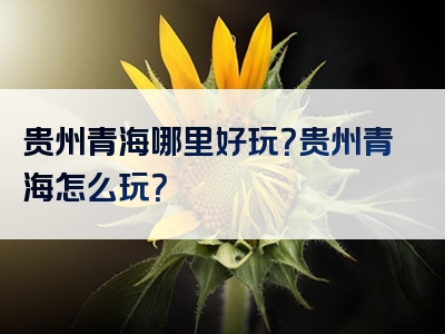 贵州青海哪里好玩？贵州青海怎么玩？