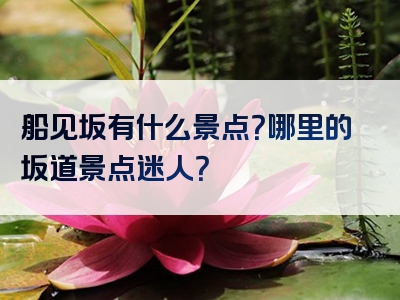船见坂有什么景点？哪里的坂道景点迷人？