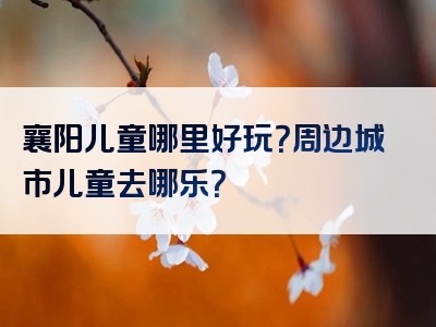 襄阳儿童哪里好玩？周边城市儿童去哪乐？