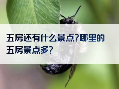 五房还有什么景点？哪里的五房景点多？