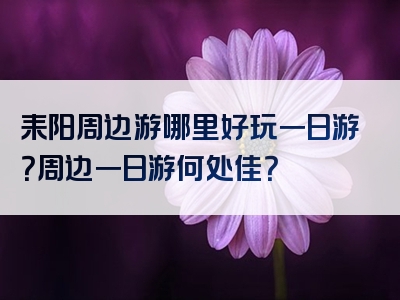 耒阳周边游哪里好玩一日游？周边一日游何处佳？
