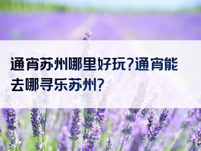 通宵苏州哪里好玩？通宵能去哪寻乐苏州？