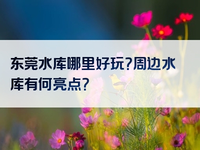 东莞水库哪里好玩？周边水库有何亮点？