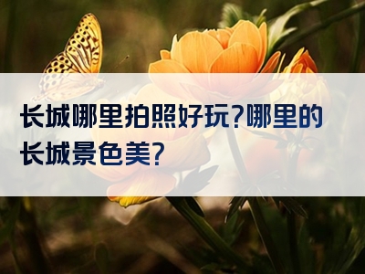 长城哪里拍照好玩？哪里的长城景色美？