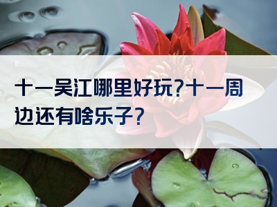 十一吴江哪里好玩？十一周边还有啥乐子？