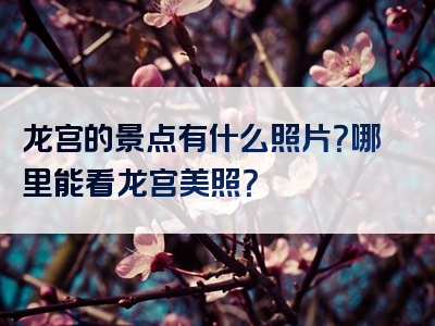 龙宫的景点有什么照片？哪里能看龙宫美照？