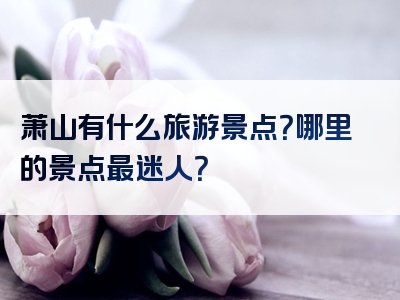 萧山有什么旅游景点？哪里的景点最迷人？