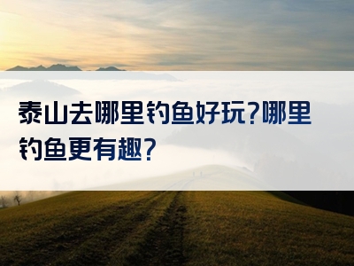 泰山去哪里钓鱼好玩？哪里钓鱼更有趣？