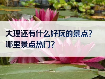 大理还有什么好玩的景点？哪里景点热门？