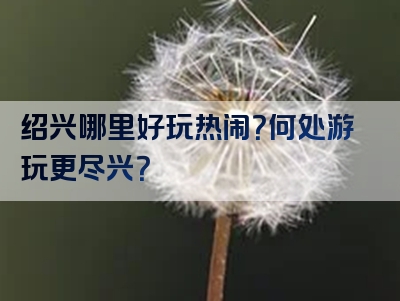 绍兴哪里好玩热闹？何处游玩更尽兴？