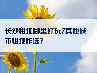 长沙租地哪里好玩？其他城市租地咋选？