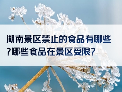 湖南景区禁止的食品有哪些？哪些食品在景区受限？
