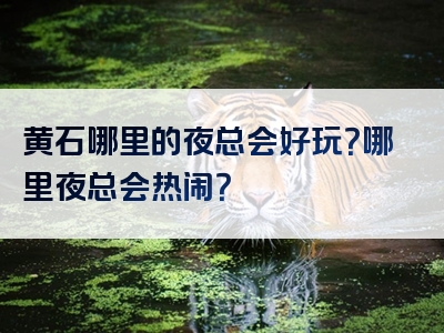 黄石哪里的夜总会好玩？哪里夜总会热闹？
