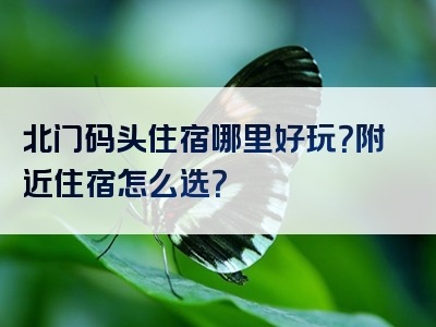 北门码头住宿哪里好玩？附近住宿怎么选？