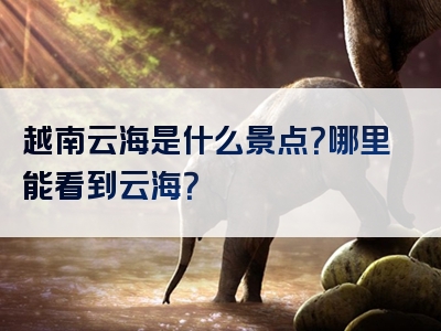 越南云海是什么景点？哪里能看到云海？