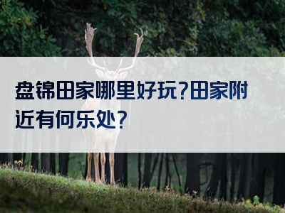 盘锦田家哪里好玩？田家附近有何乐处？