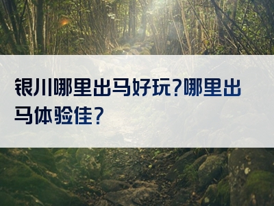 银川哪里出马好玩？哪里出马体验佳？