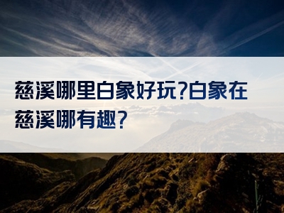 慈溪哪里白象好玩？白象在慈溪哪有趣？