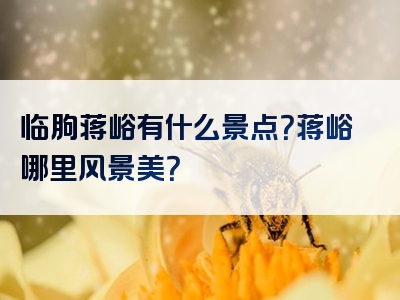 临朐蒋峪有什么景点？蒋峪哪里风景美？