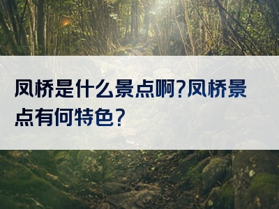 凤桥是什么景点啊？凤桥景点有何特色？
