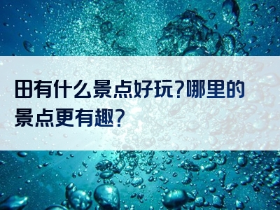 田有什么景点好玩？哪里的景点更有趣？