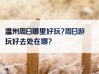 温州周日哪里好玩？周日游玩好去处在哪？