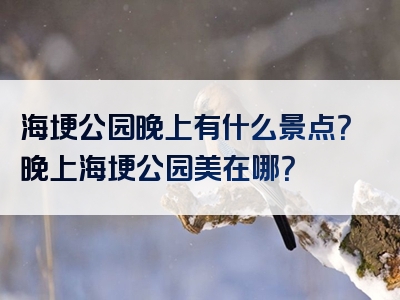 海埂公园晚上有什么景点？晚上海埂公园美在哪？