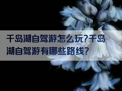千岛湖自驾游怎么玩？千岛湖自驾游有哪些路线？