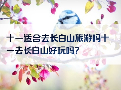 十一适合去长白山旅游吗十一去长白山好玩吗？