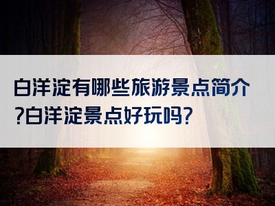 白洋淀有哪些旅游景点简介？白洋淀景点好玩吗？