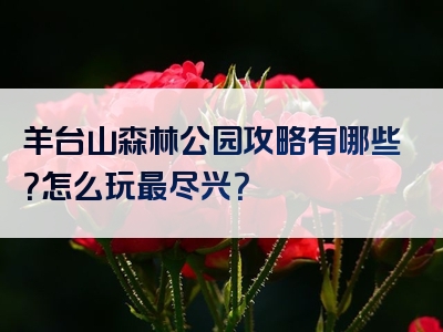 羊台山森林公园攻略有哪些？怎么玩最尽兴？