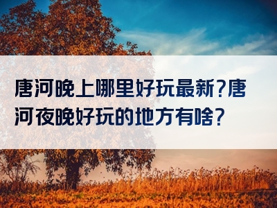 唐河晚上哪里好玩最新？唐河夜晚好玩的地方有啥？