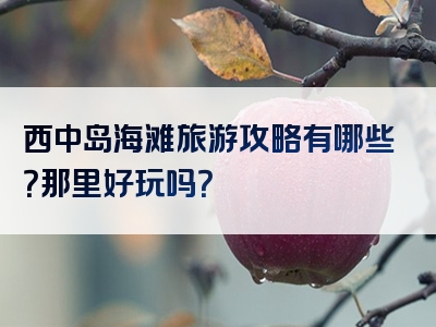 西中岛海滩旅游攻略有哪些？那里好玩吗？