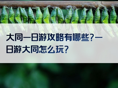 大同一日游攻略有哪些？一日游大同怎么玩？
