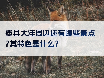 费县大洼周边还有哪些景点？其特色是什么？