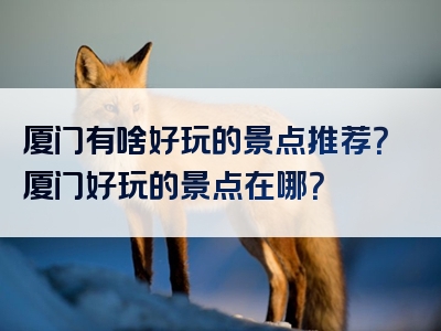 厦门有啥好玩的景点推荐？厦门好玩的景点在哪？