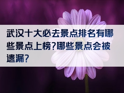 武汉十大必去景点排名有哪些景点上榜？哪些景点会被遗漏？