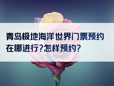 青岛极地海洋世界门票预约在哪进行？怎样预约？