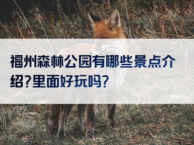 福州森林公园有哪些景点介绍？里面好玩吗？