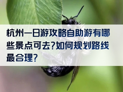 杭州一日游攻略自助游有哪些景点可去？如何规划路线最合理？