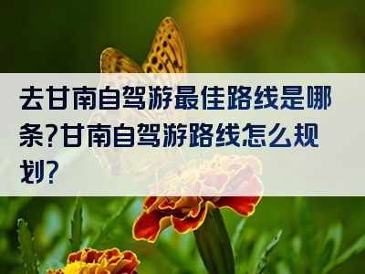 去甘南自驾游最佳路线是哪条？甘南自驾游路线怎么规划？