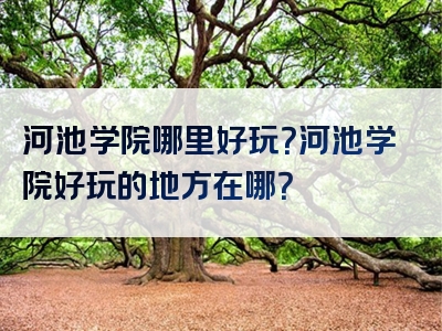 河池学院哪里好玩？河池学院好玩的地方在哪？