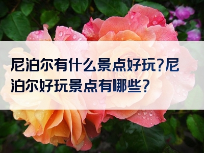 尼泊尔有什么景点好玩？尼泊尔好玩景点有哪些？