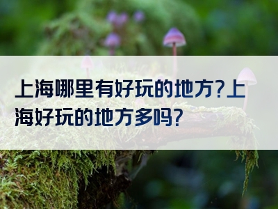 上海哪里有好玩的地方？上海好玩的地方多吗？
