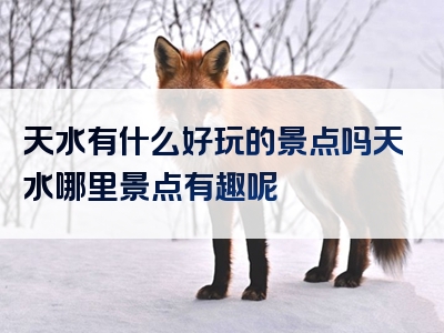 天水有什么好玩的景点吗天水哪里景点有趣呢