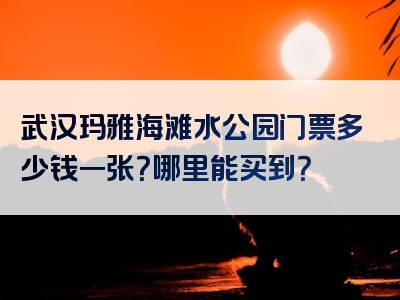 武汉玛雅海滩水公园门票多少钱一张？哪里能买到？