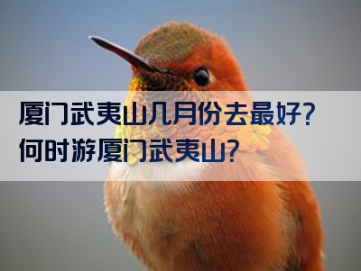 厦门武夷山几月份去最好？何时游厦门武夷山？