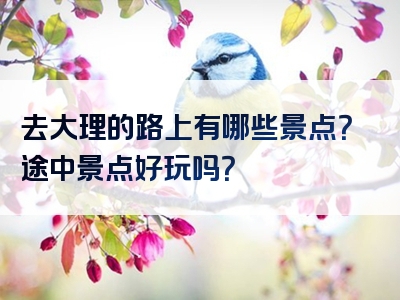 去大理的路上有哪些景点？途中景点好玩吗？